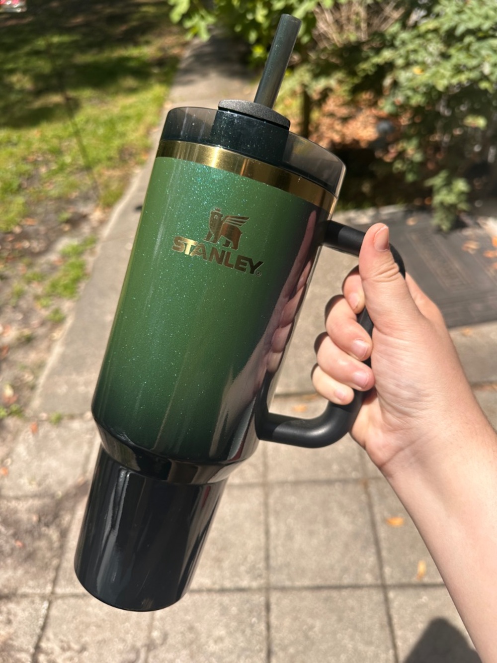 Stanley Limited Edition Wicked Elphaba Tumbler 💚